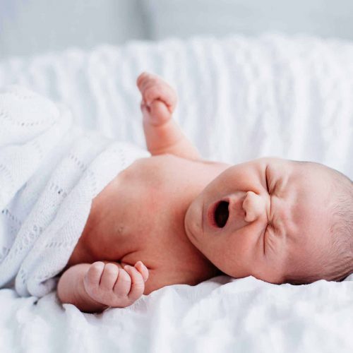 newborn baby photoshoot Newcastle (8)
