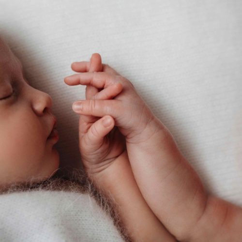 A twin newborn photoshoot near Durham, North East England